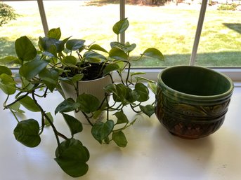 Possible Weller Ceramic Pot With Healthy Live Pothos Plant - K48