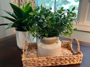 Two Faux Plants And Handled Basket  -d10