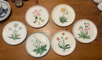 Set Of 6 Vintage Italian Floral Plates