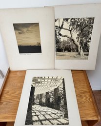 Pastoral Dawn, Etc Black & White Vintage Photos By Donald S Berman Earlier Years - O11