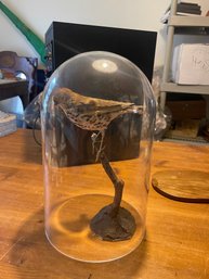 Victorian Stuffed Bird With Plastic Dome
