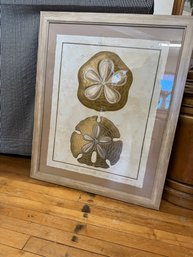 Framed Sanddollar Art