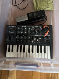 Arturia MICROBRUTE Analog Synthesizer