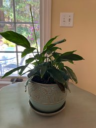 Happy Peace Lily In Ceramic Pot - FR3