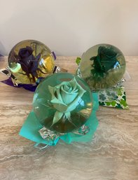 3 Extra Large Colorful Preserved Roses Under Glass - D26