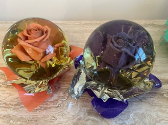 2 Extra Large Colorful Preserved Roses Under Glass -  D27
