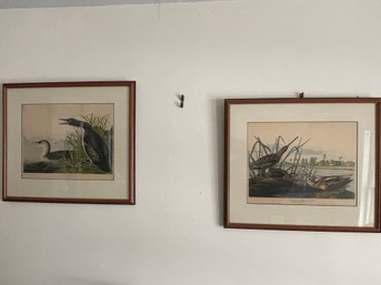 Pair Of Audubon Bird  Prints