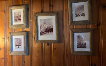Five Framed Winter Scene Photographs In Sporty Frames - B37