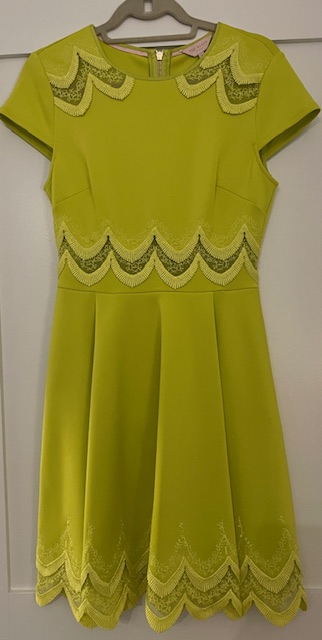 green emerald velvet dress Ted Baker