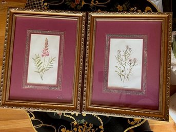 A Pair Of Framed Botanical Prints With French Mats