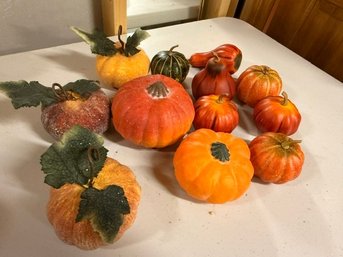 A Collection Of Fall Harvest Pumpkins Thanksgiving, Halloween
