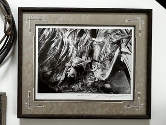 'Hot Day In New Mexico' By Robert Shufelt 'shoofly' Black And White Signed And Numbered