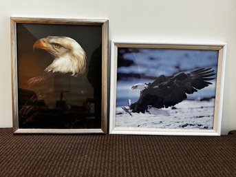 Two Original Photographs Of American Bald Eagles Framed
