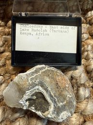 Chalcedony Found East Side Of Lake Rudolf, Kenya Africa