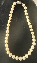 16' Creamy Pearl Necklace With 14Kt White Gold Clasp