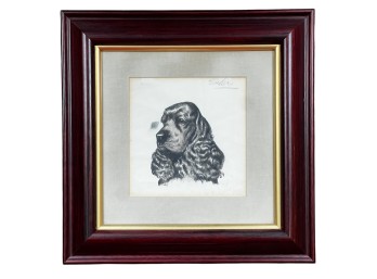FRENCH AQUATINT Of A COCKER SPANIEL