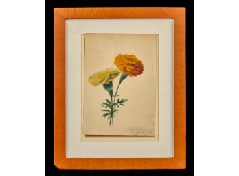 WELL EXECUTED WATERCOLOR of MARIGOLDS dated 1882