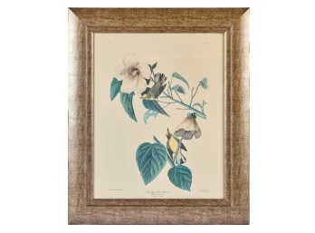 (2) FRAMED PRINTS AFTER J.J. AUDUBON