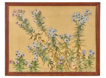 DEXTER B. DAWES (1872-1957)