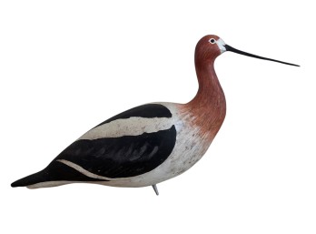 CARVED and PAINTED AMERICAN AVOCET SHOREBIRD