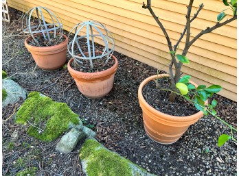 (3) FINE QUALITY TERRA COTTA PLANTERS and GLOBES