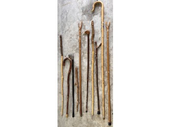 GROUPING of WALK STICKS and CANES