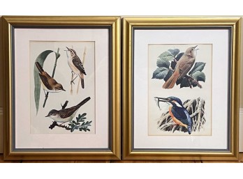 (2) CHARLES TURNICLIFFE FRAMED BIRD LITHOGRAPHS