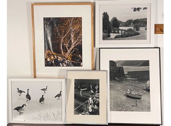 (5) DAVID POWELL PHOTOGRAPHS