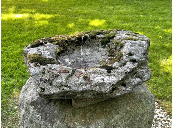 NATURAL MOSS-COVERED HOLLOWED ROCK BIRDBATH
