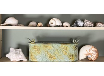 COLLECTION OF DECORATIVE SEA SHELLS