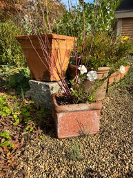GROUPING Of FLOWER POTS