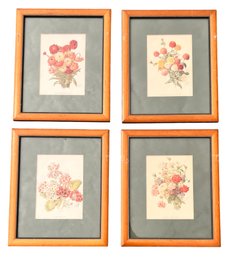(4) FRAMED (19th C) BOTANNICAL PRINTS