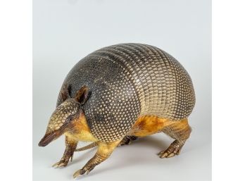 VINTAGE TAXIDERMY ARMADILLO