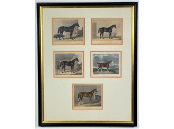SET (5) FRAMED EQUESTRIAN ENGRAVING