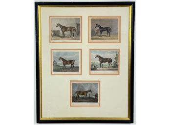 SET (5) FRAMED EQUESTRIAN ENGRAVINGS
