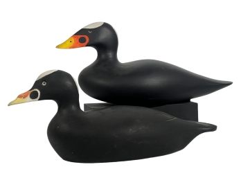 PR WOODEN SURF SCOTER DUCK DECOYS