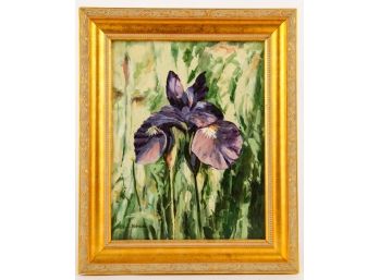 DANIEL SHAW OIL on CANVAS of IRIS FRAMED