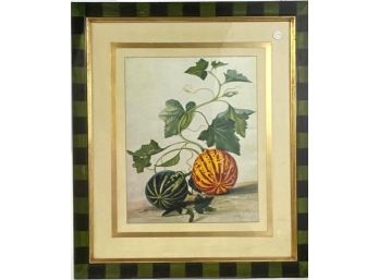 NICELY FRAMED & MATTED SQUASH PRINT