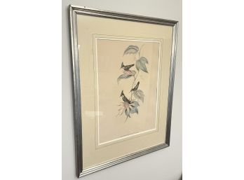 ORNATHALOGICAL HAND COLORED ETCHING
