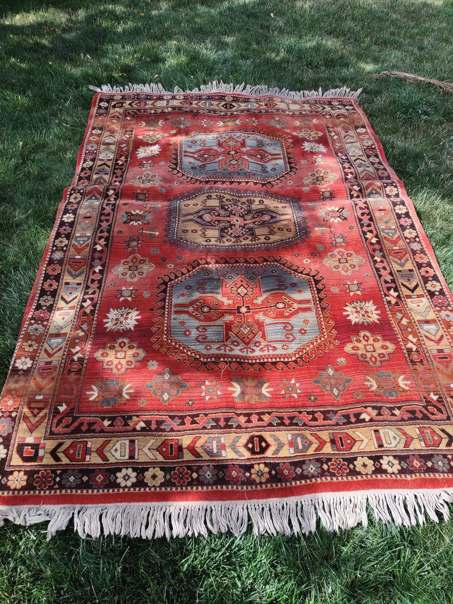 Multi Color Fringed Area Rug #1302 | Auctionninja.com