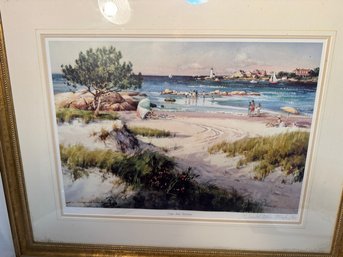 Cape Ann Summer  D. L. Mosher