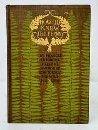 How To Know The Ferns A Guide Parsons, Frances Theodora 1899