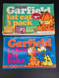 1999s First Editions 'Garfield Fat Cat 3 Pack' And 'Garfield Takes His Licks' By Jim Davis.