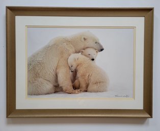 White Polar Bear Mom And Cubs Kennan Ward Photo Art Reproduction