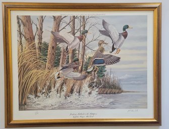 Limited Edition Print Titled 'Jumping Mallards On The Mattaponi By Macleod