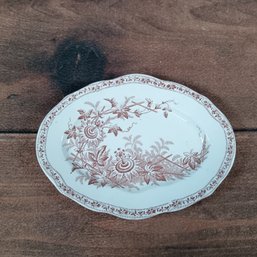 F. Winkle & Co Wieldon Ware England Brown Tranferware LARA Serving