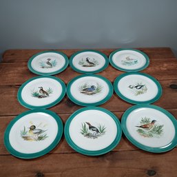 Set Of 9 Hand Painted Bird Plates