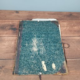 Artist Portfolio- Original Hand Drawn Botanicals