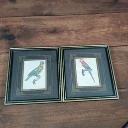 Pair Of 2 Framed Bird Prints
