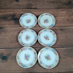 Set Of 6 Rosenthal 'The Dresden' Pattern Porcelain Plate